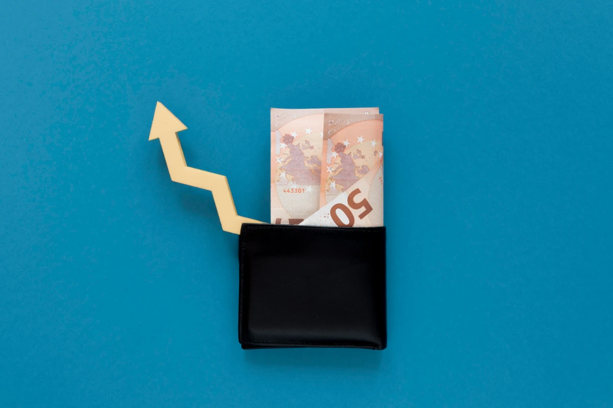 Wallet with money